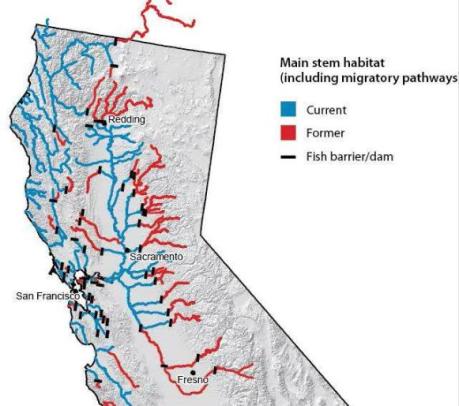 Former (red) and current salmon (blue) habitat for salmon migration. Note habitat blocked by dams, and dry reaches of river. (Photo: http://i2.wp.com/mavensnotebook.com/wp-content/uploads/2014/03/pmoyle_seminar_13jan2014_Page_09.jpg)