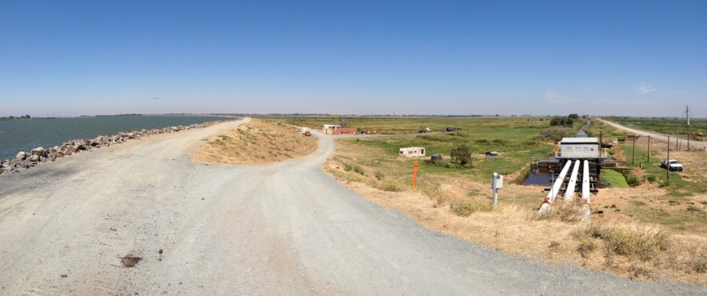 San Joaquim at left of the delta, “island” at right. The island is about 10 feet lower than river level. The pump at left puts water back into the Delta.